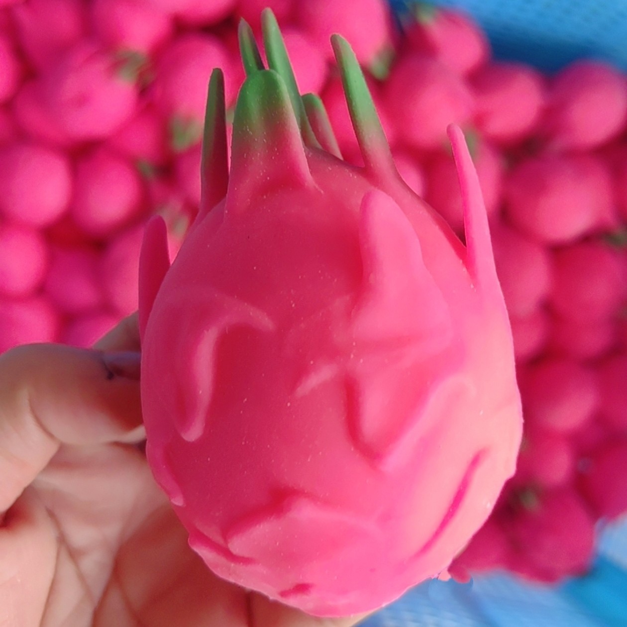 Mainan Bola Anti Stres Buatan  - Sensory Fidget Toys ulasan dan harga