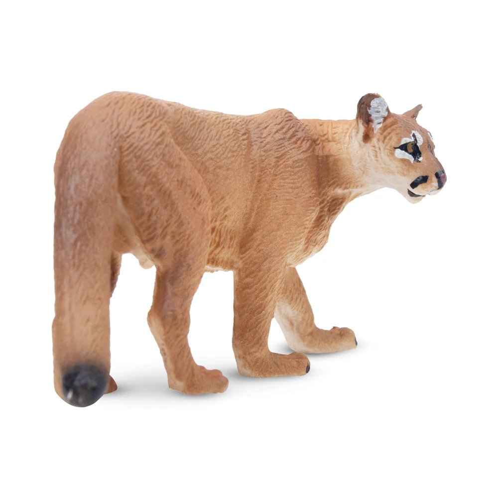 Toymany Mainan Model Hewan Sat - Kids Toys Latest ulasan dan harga